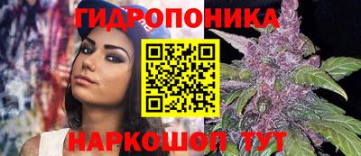 эйфоретик Гусиноозёрск