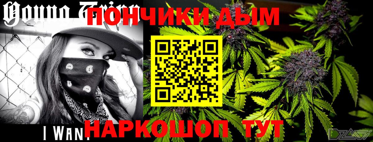 Конопля гибрид Кинель